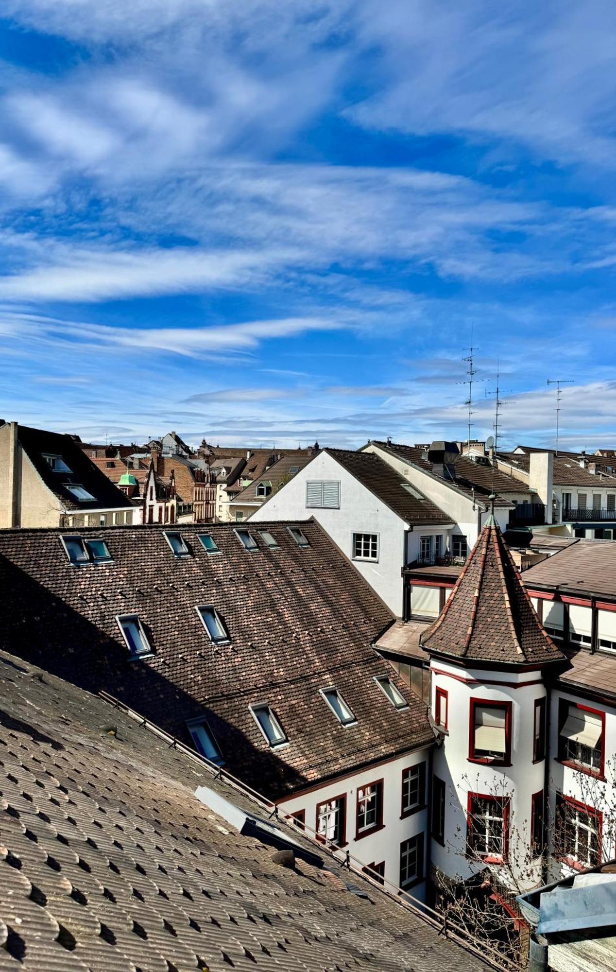 City Center Rooftop Balcony-Studio At Town Hall 巴塞尔 外观 照片